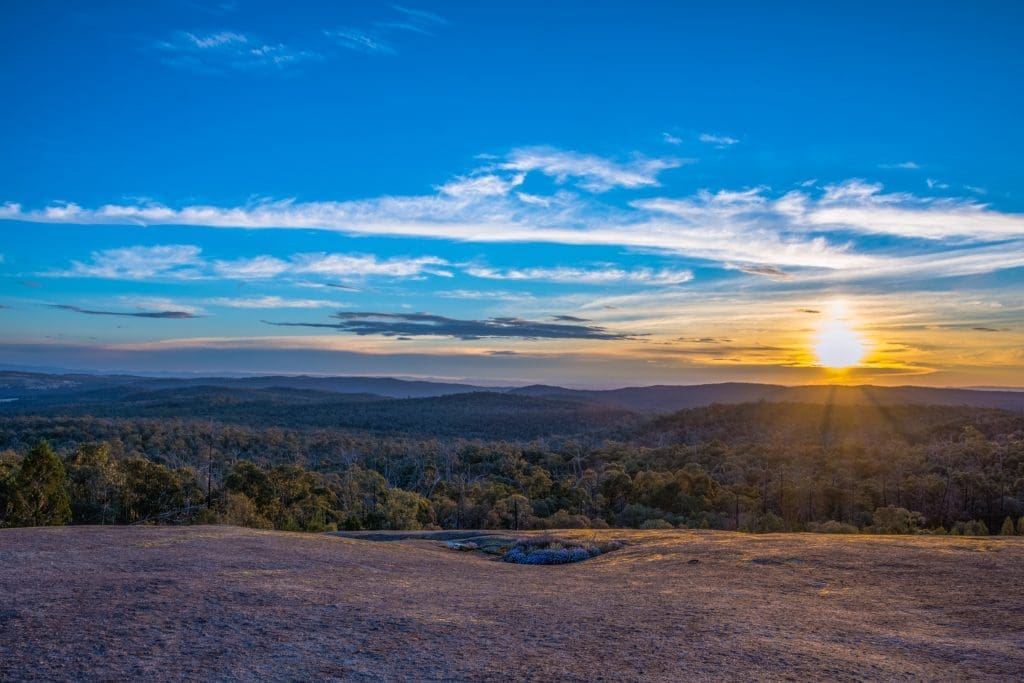 Mt Pilot National Park | Image credit: Kate Hanton