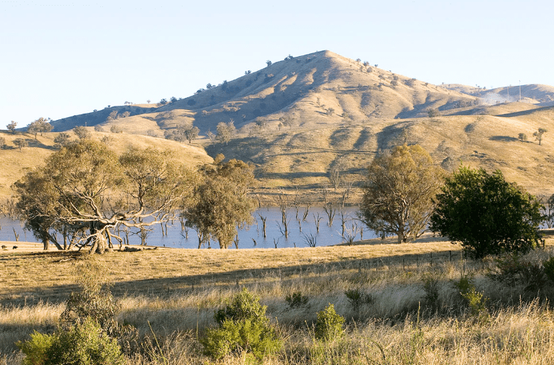 View of Lake Hume from the High Country Rail Trail. A popular cycle and bike path.